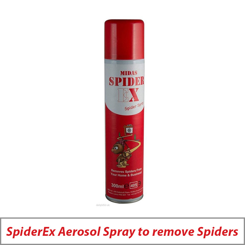 SPIDEREX AEROSOL SPRAY TO REMOVE SPIDERS FROM CCTV CAMERAS